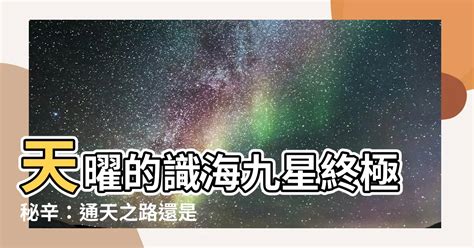 識海九星|【識海九星是什麼】識海九星：探秘《護心》中的命運紛爭，你知。